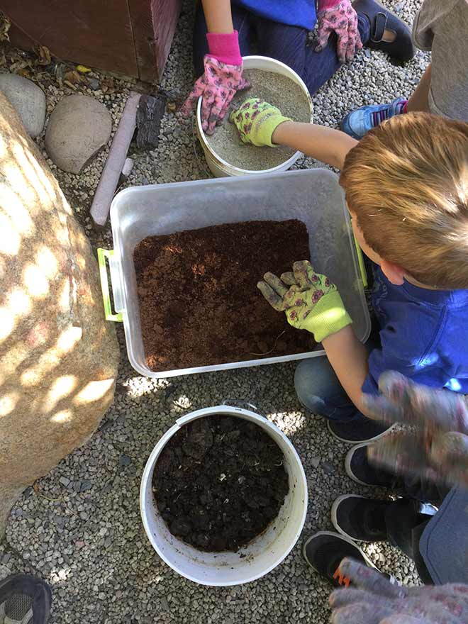 Toddlers mix up all the components for seed start