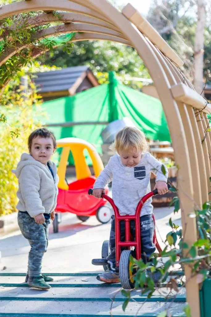 toddlers on trikes