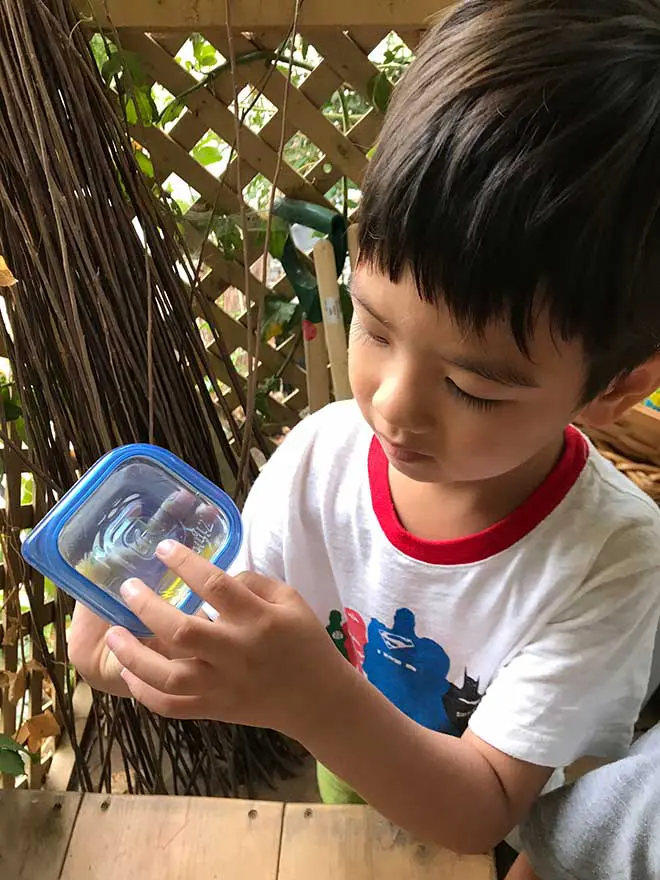 Reusing Tupperware Recycling At CMP: Part Two - Carmel Mountain Preschool