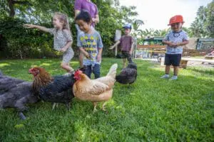 cmp organic farm
