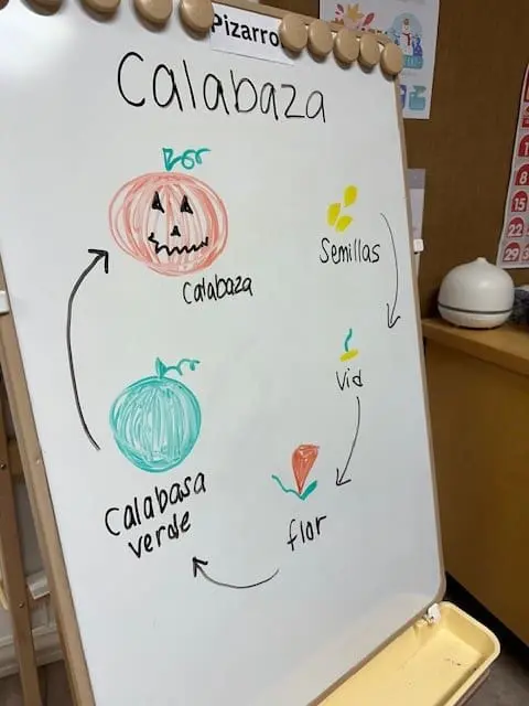 learning more spanish words at childcare