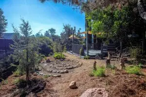 cmp enchanted forest
