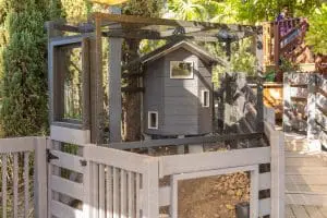 bunny barn outside