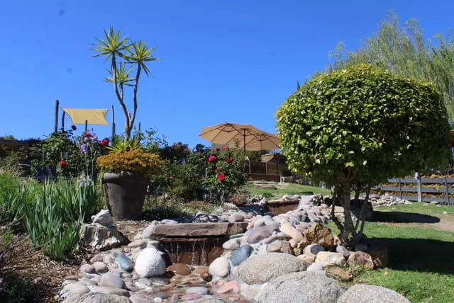 flowing water at gigis rose garden