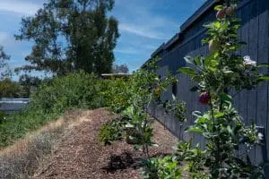 24-web-or-mls-Photo-24