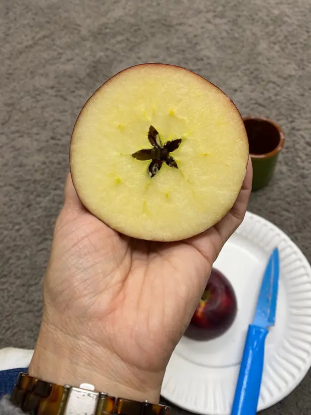 Room 11 Apple Study - Carmel Mountain Preschool