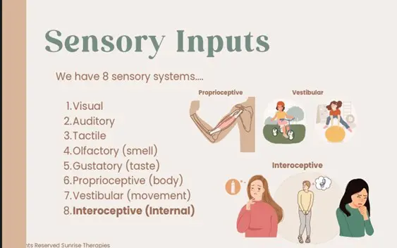 Conversations with Erin and Noopur: Sensory Processing Differences ...