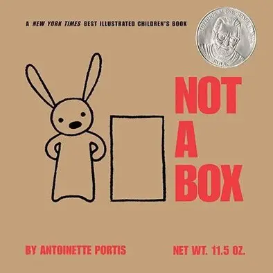 not a box book preschool