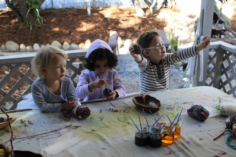 fall nature finds at preschool