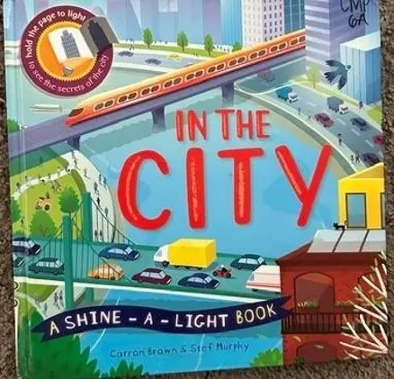 in the city by carron brown