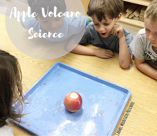 Apple Volcano Science
