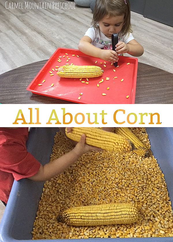 All About Corn
