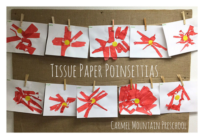 Tissue Paper Poinsettias