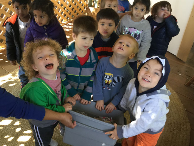Carmel Mountain Preschool Composting in The Glenn