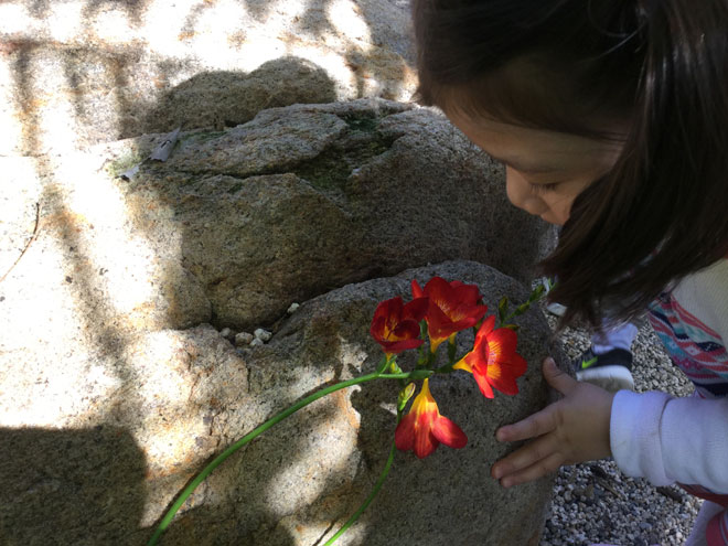Carmel Mountain Preschool Nature Love excitement outdoors alternative experiences adventure