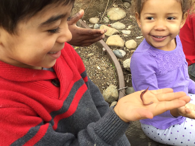 Environmental Education in Early Childhood Education