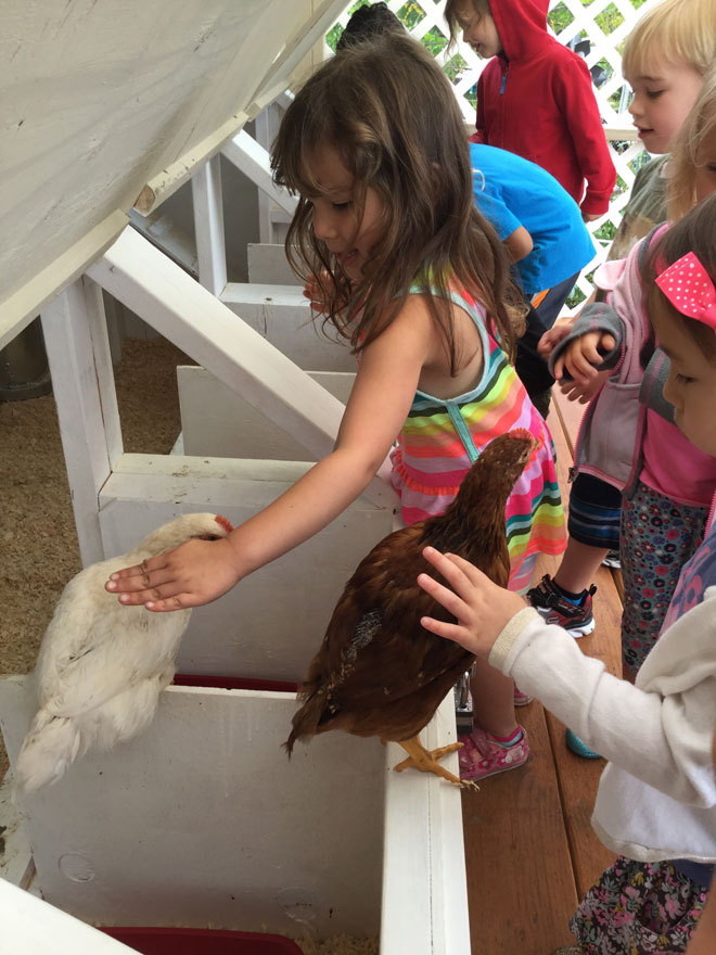 Carmel Mountain Preschool Chicken Coop children hands-on petting fun