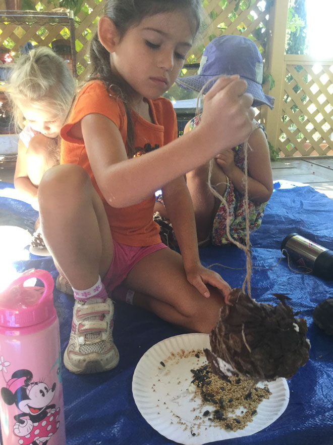 Carmel Mountain Preschool Birding Blog