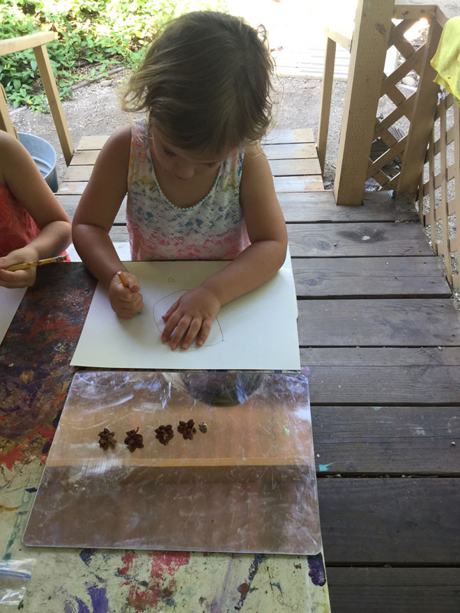 Carmel Mountain Preschool Nature Findings and Pastel Drawings
