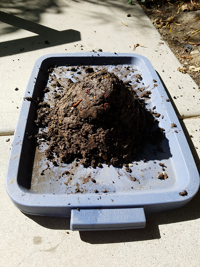 Volcano of compost