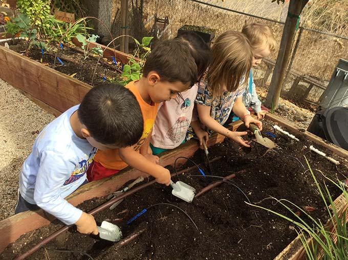 kids digging in the dirt to garden