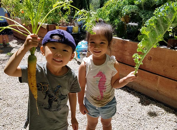 children harvest food from our healthy garden