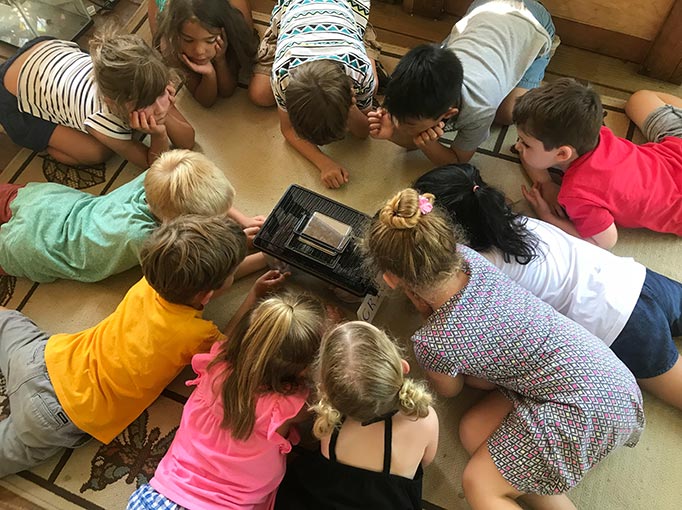 Our Preschool class learns about animals