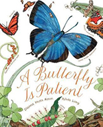 a butterfly is patient book