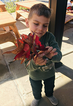 toddler holding leaves