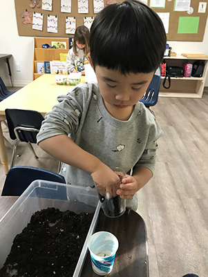 toddler planting a seed