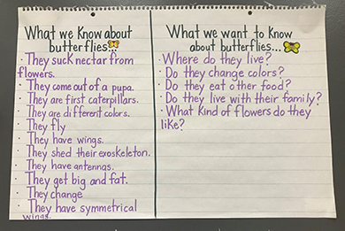 what we know about butterflies