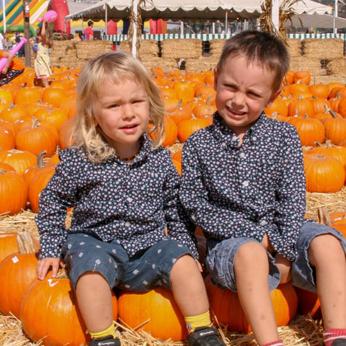 pumpkin trip with daycare