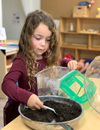 girl looking for roly poly in dirt at preschool