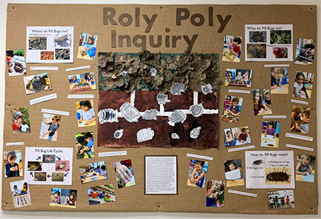 roly poly inquiry
