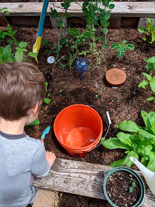 Diy In Ground Worm Bin Carmel Mountain Preschool - Best Diy Worm Composting Bin