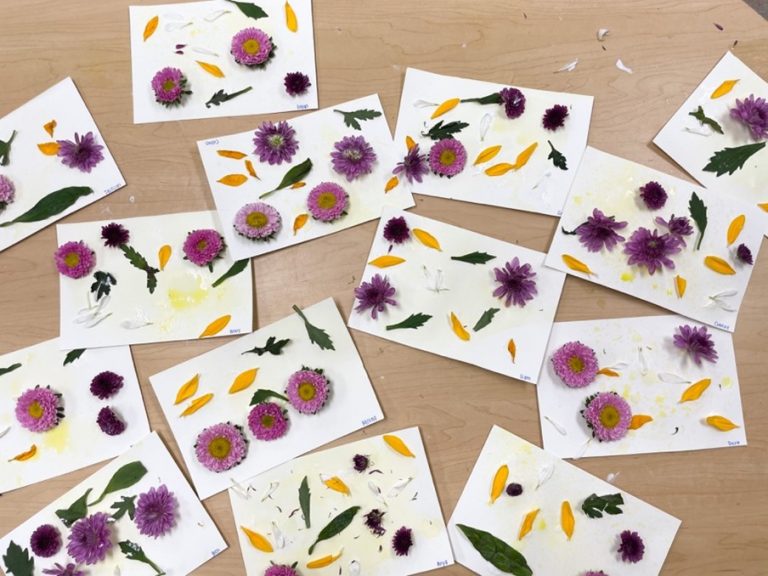 Natural Flower Collage - Carmel Mountain Preschool