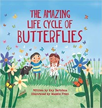 the amazing life cycle of butterflies