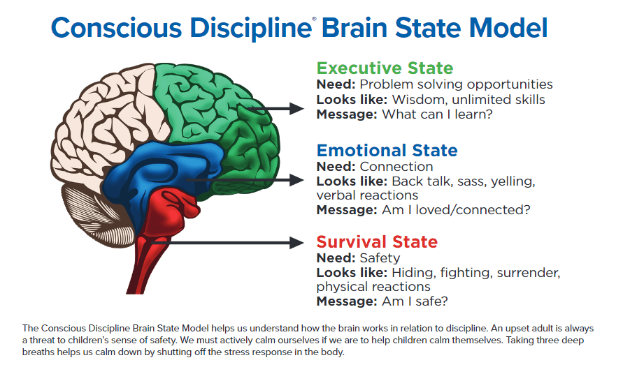 Conscious Discipline- The Three Brain States - Carmel Mountain Preschool