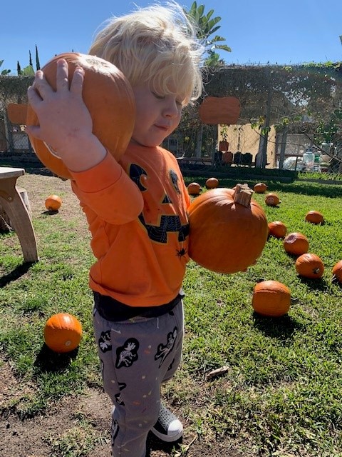 child carrying pumpkin