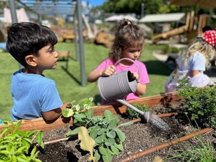 watering plants in garden at preschool