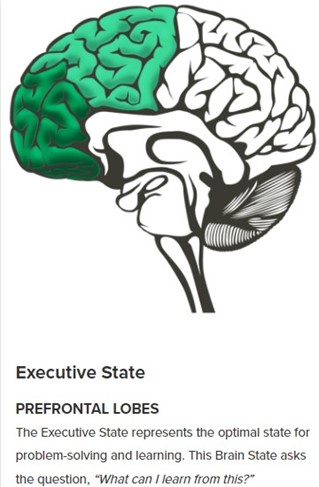 executive state