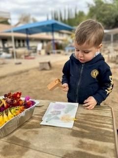 boy creating flower prints at preschool