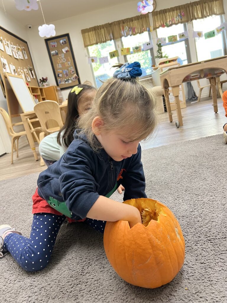cutting open a pumpkin at preschool