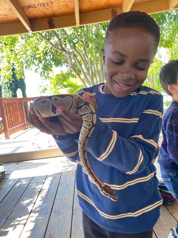 child holding python at preschool