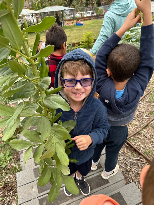 boy with fava bean plant