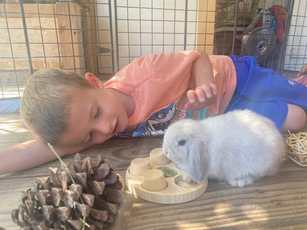 cmp toddler with bunny at preschool