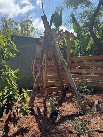 tree tower at preschool enchanted forest